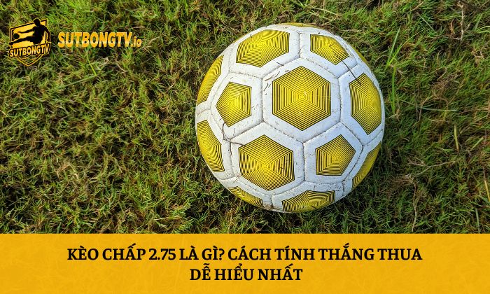 Kèo chấp 2.75 là gì
