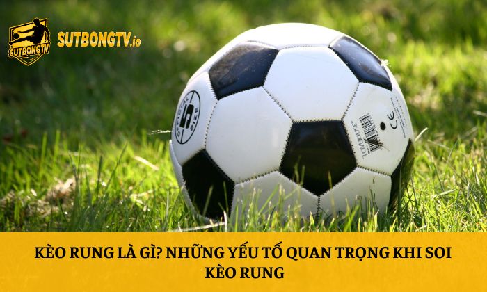 Kèo rung là gì